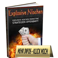 Cover Explosive Nischen