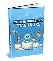 Twitter Crash Kurs