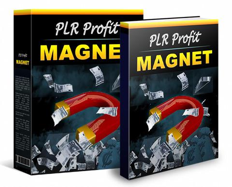 Ebook und Box Cover von PLR Profit Magnet