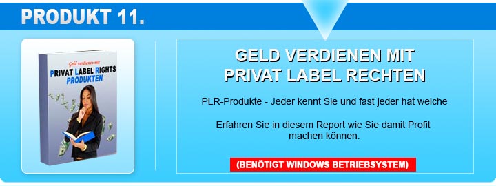 Geld verdienen mit PLR Reporte